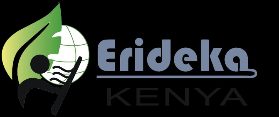 Eridika logo
